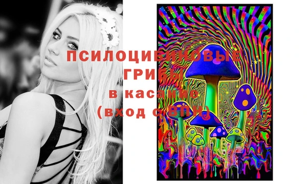 не бодяженный Алзамай