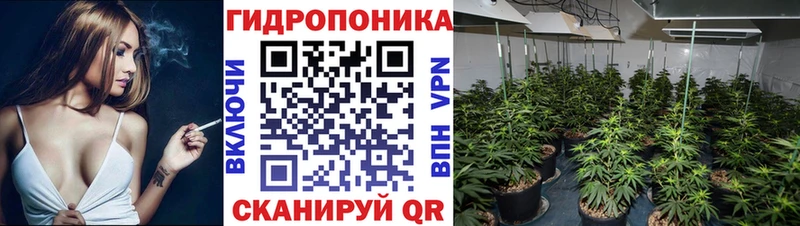 Шишки марихуана Amnesia  дарнет шоп  Среднеколымск 